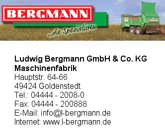 Bergmann GmbH & Co. KG, Ludwig