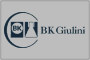BK Giulini GmbH & Co. oHG Werk Ludwigshafen