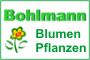 Bohlmann Blumen und Pflanzen