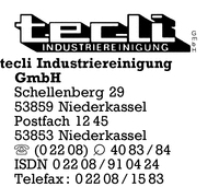 Tecli Industriereinigung GmbH