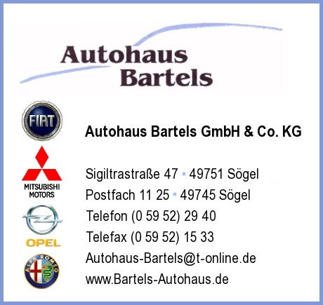 Autohaus Bartels GmbH & Co. KG
