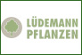 Lüdemann Pflanzen GmbH