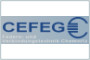 CEFEG GmbH Federn- und Verbindungstechnik Chemnitz