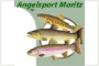 Angelsport Moritz-Nord GmbH